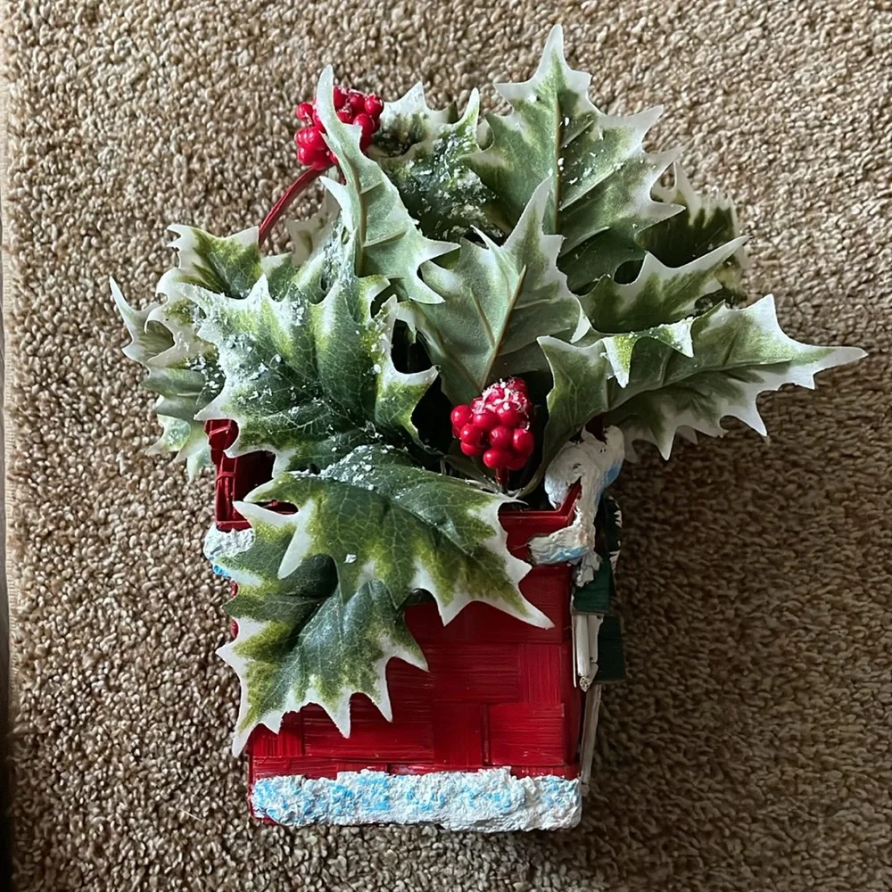 Christmas Shop Variegated Ivy Basket arrangement